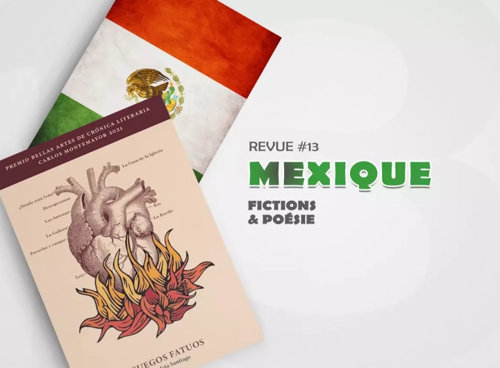 R13-F22-Fuegos-fatuos
